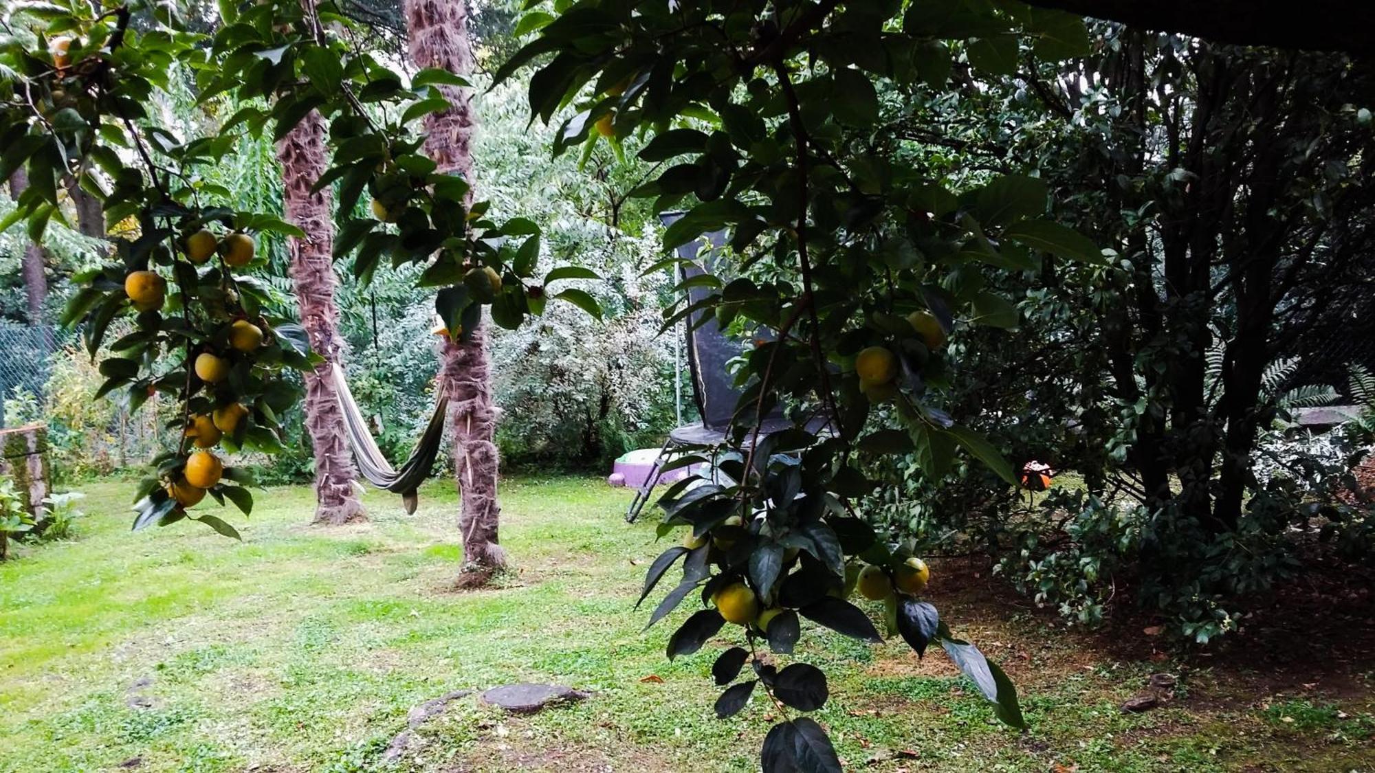 Adda River Casa Vacanza Calolziocorte Luaran gambar